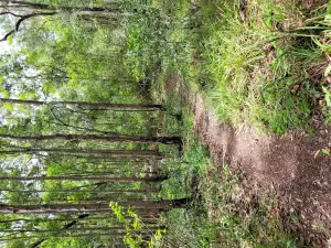 Victory Heights Recreational Trails