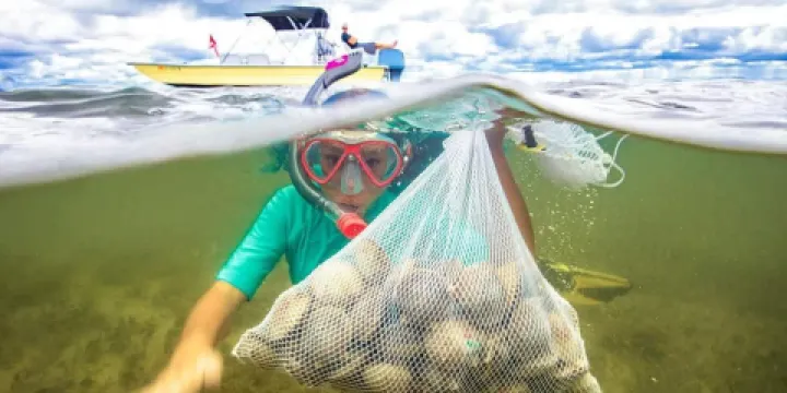 Mellow Mangrove Charters