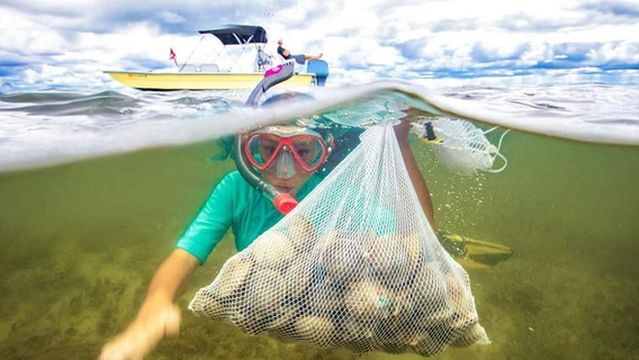 Mellow Mangrove Charters