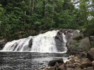 Profile Falls