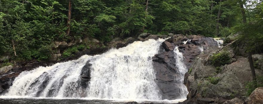 Profile Falls