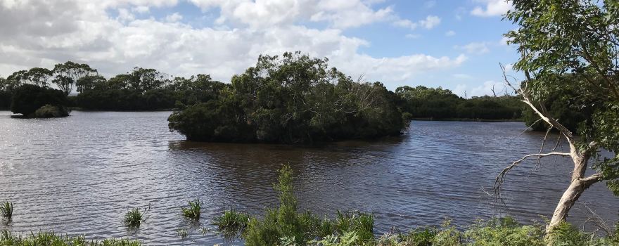 Bald Hills Creek Wildlife Reserve