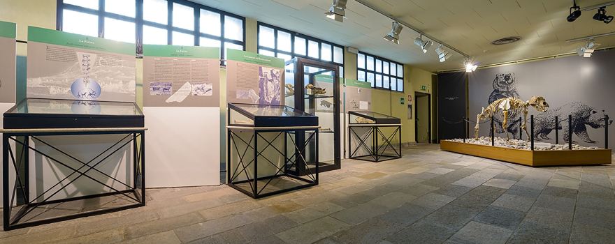 Museo di Archeologia e Paleontologia 'Carlo Conti'