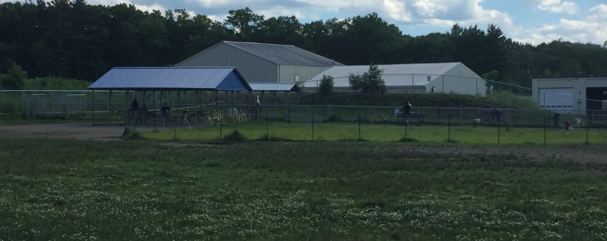 Chelmsford Dog Park