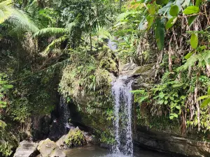 Juan Diego Falls