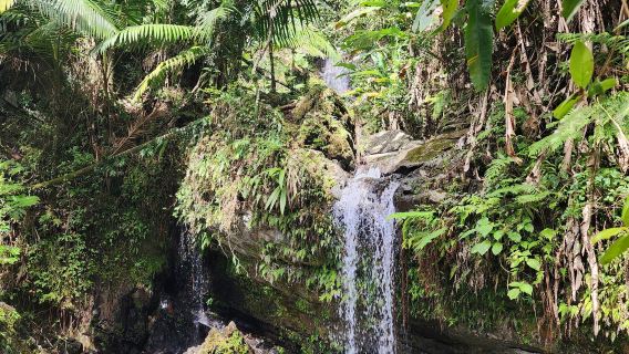 Juan Diego Falls