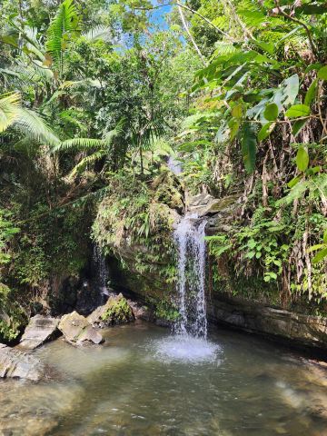 Juan Diego Falls