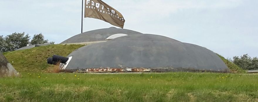 Fort 1881