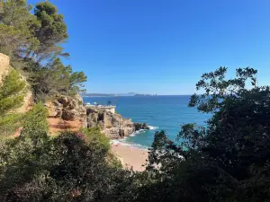L'illa Roja