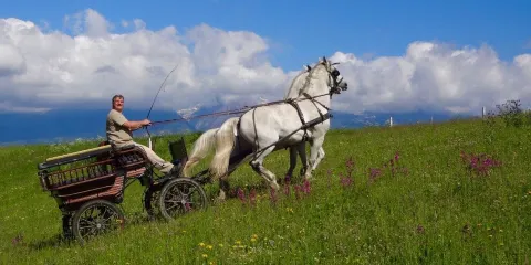Kociarove muzeum Pavla Balaza