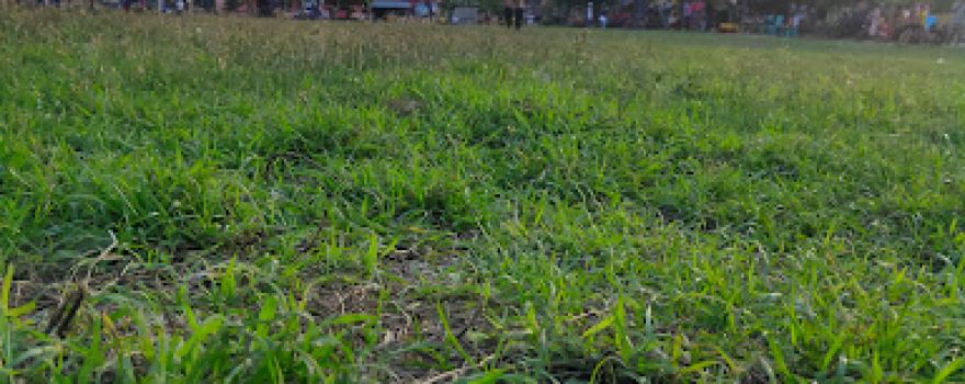 Lapangan bola kaki olilit barat