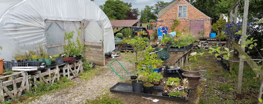 Marjoram Nurseries