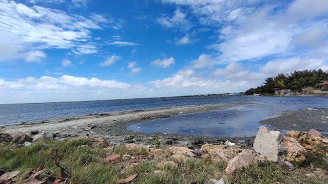 Pannai Park பண்ணை பூங்கா யாழ் முற்றம்