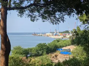 Forodhani, Tanga