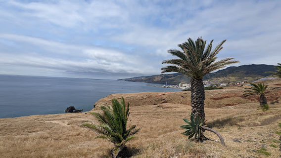 Calheta - Levada of 25 Fontes and Risk