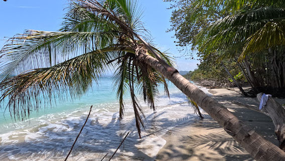 Punta Vargas