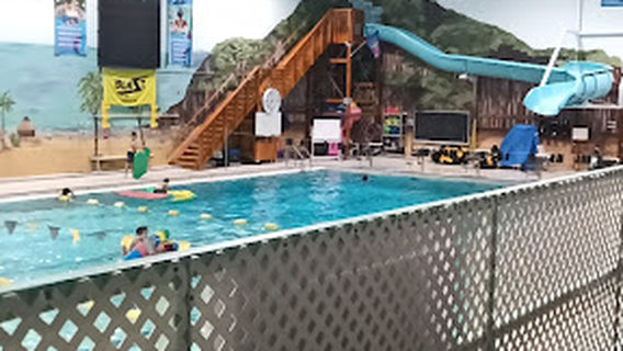 뉴 밴든
