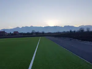 Sport