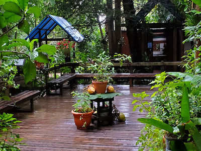 Carambola Gardens