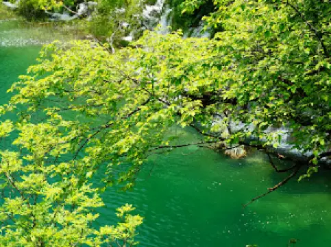 Plitvice Entrance 1 Ticket Office