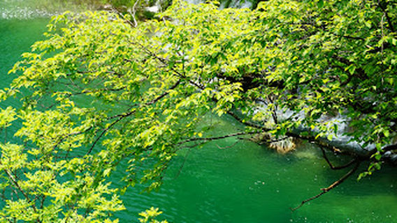 Plitvice Entrance 1 Ticket Office