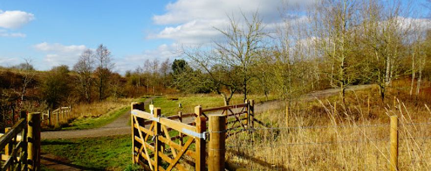 Borrow Pit Meadows