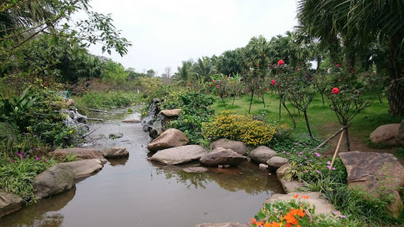 Cửu Cáo