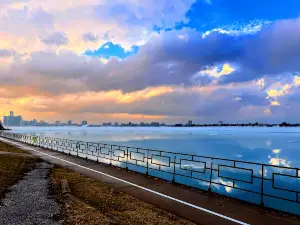 Alexander Park