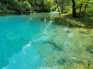 Blue Springs Creek Conservation Area