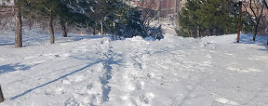 Çocuk Parkı