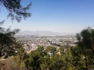 Los Ocotillos Ecological Park