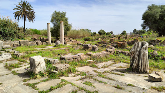 Ruins of Hippo (Hippo Regius)