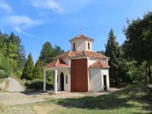 Monastery of Holy Mother Delchevo