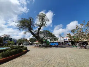 Công viên Ba Tri