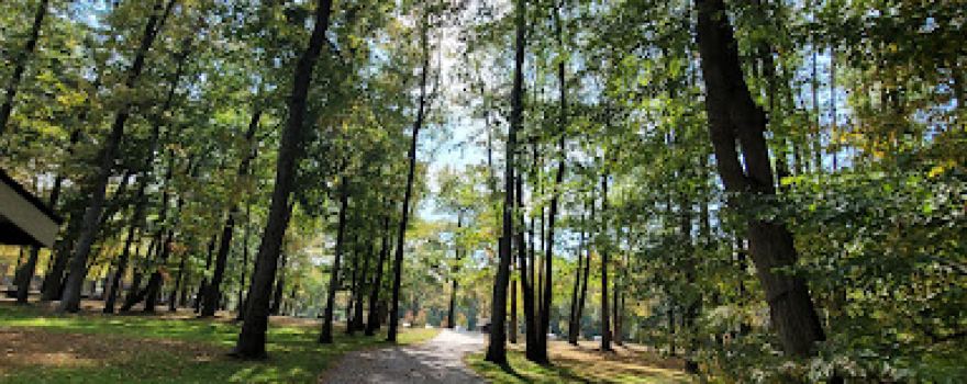 Van Saun Dog Park