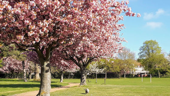 Normanston Park