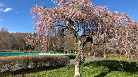 Takahagi YouField Camping Ground