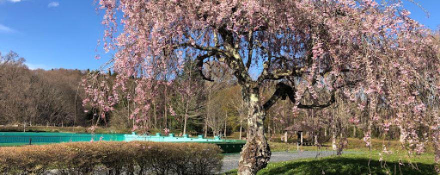 Takahagi YouField Camping Ground
