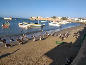 Paraguaná Peninsula