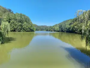 Deversorul Vida