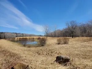 Quarry Park Scientific and Natural Area (SNA)