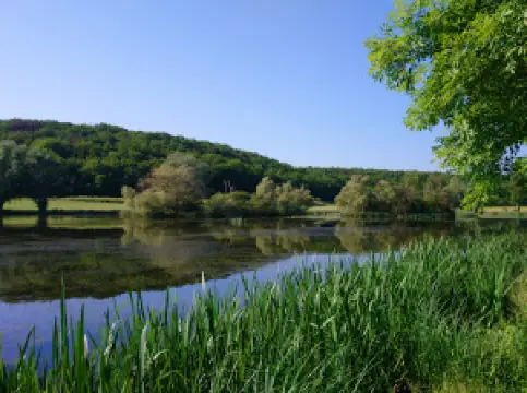 Sentier du Marais d'Andryes
