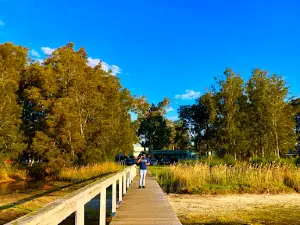 Long Jetty Foreshore Reserve