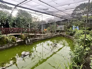 Charco Verde Park & Butterfly Aviary