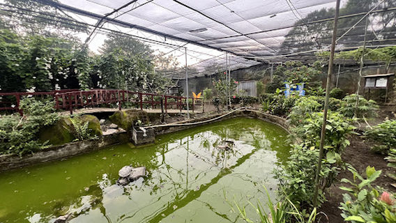 Charco Verde Park & Butterfly Aviary