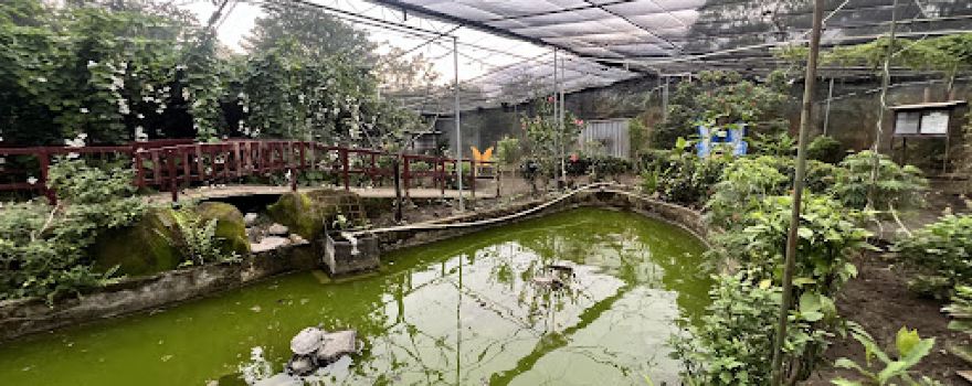 Charco Verde Park & Butterfly Aviary