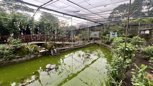 Charco Verde Park & Butterfly Aviary