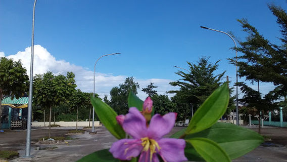 Cái Bè District