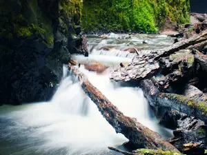 Cascada MiliMili