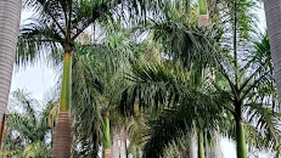 Chintan Park || Babu Gyanchand Alya Smriti